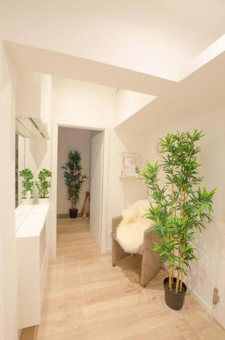 Casarina - Gemuetliches Apartment Im Zentrum اوغسبورغ المظهر الخارجي الصورة